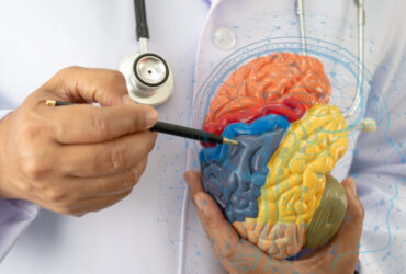 brain brain